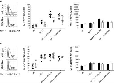 ADAP Promotes Degranulation and Migration of NK Cells Primed During in vivo Listeria monocytogenes Infection in Mice